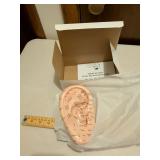 Acupuncture Training Model Head