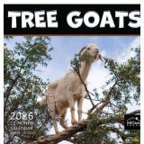 MICASA PRESS Tree Goats 2026 Wall Calendar 12 Month | 12â x 24â Open | Thick & Sturdy Paper | Holiday Gift | Funny Animal Calendar 2026 - Retail: $5