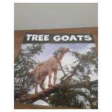 MICASA PRESS Tree Goats 2026 Wall Calendar 12 Month | 12â x 24â Open | Thick & Sturdy Paper | Holiday Gift | Funny Animal Calendar 2026 - Retail: $5
