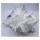 CRAB BROKEN OFF OF SHELL VVGIFTS Beach Coastal Decor Blue Hermit Crab with Shell Figurines Decor Home Office Desk Sculpture Statue for Tabletop Shelf Bathroom Decoration Ornament Gift (Blue) - Retail: