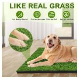 Dog Grass Pad with Tray, 34