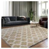 Shag Area Rug 5x7 ft, Extra Soft, Beige/White