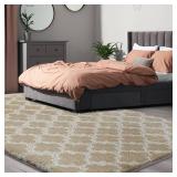 Shag Area Rug 5x7 ft, Extra Soft, Beige/White