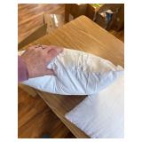 MIULEE 18x18 Inch Pillow Inserts Pack of 2, Decorative Cushions