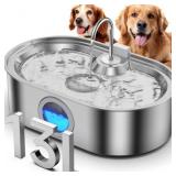 Water Fountain for Large Dogs, 13L Stainless Steel with Drinking Area