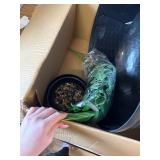 $58 Hidden Litter Box, Faux Plant, Cat Litter Box, Black