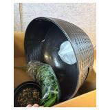 $58 Hidden Litter Box, Faux Plant, Cat Litter Box, Black