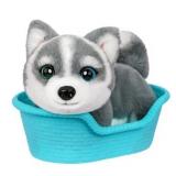 Little Live Pets My Really Real Puppy Minis Aurora the Husky Interactive Puppy 20+ Sounds & Reactions Ages 5+