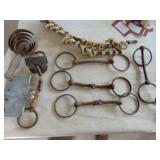 Horse Bits - Calf Weener and More