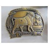 Belt Buckle Selection