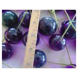 Selection of Lucite Grapes