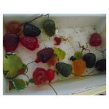 Selection of Lucite Berries