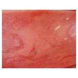 Pair of Conoco Plastic Pump Signs