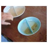 Pair of Melmac Styled Bowls