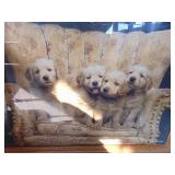 6 Art Pictures - Decor