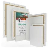 GenCrafts Assorted Stretched Canvas (8 Pack)  Rectangular for Acrylic  Oil  Other Wet or Dry Medium - Artist Grade and 2 24 Packs of GenCrafys Premium Acrylic Paint Sets
