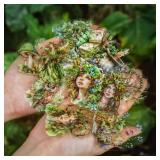 PET Scrapbook Stickers,180 PCS Sheets for Scrapbooking, Junk Journaling, Crafting, DIY Projects, Diaries, and Art Supplies. (Forest Witch)