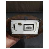 Soaring Eagle Figurine w/ Color Changing Lights & Scenic Picture Wings