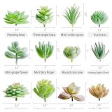 HappyHapi 12 Pcs Artificial Succulents Mini Fake Plants Unpotted Faux Succulent for Craft, Small Plastic Succulents Assortment in Flocked Green Floral Decor for Party, Cake, Garden & Outdoor - Retail:
