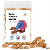 SunGrow 50 pcs Catappa Indian Almond Leaves for Betta Fish Tank Aquarium, 2 Water Conditioner Leaves, Leaf Also Suitable for Shrimp, Goldfish, Guppy and Frogs