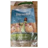 Blessed First Communion Book - Dynamic Catholic Publication