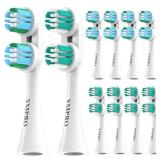 YMPBO Replacement Heads Compatible with Spinbrush Electric Powered Toothbrush Adults, 10 Pack Brush Head Replacement Refill, Green+Blue