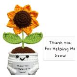 2 Count Positive Crochet Animals Sunflowers