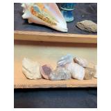 Shell, small vase and Mineral Specimens