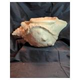 Conch Shell planter & Starfish Night Light