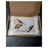 6x9 Picture Frame, Gold Aluminum Metal Photo Frames with HD Glass, Fits 5x7 with Mat or 6 x 9 without Mat, Display for Wall and Table