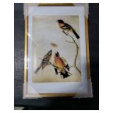 6x9 Picture Frame, Gold Aluminum Metal Photo Frames with HD Glass, Fits 5x7 with Mat or 6 x 9 without Mat, Display for Wall and Table