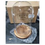 MyGift The Bell Jar Glass Cloche with Rustic Wood Base, 10 Inch Tall Clear Decorative Glass Dome Display for Plants, Curios, Keepsakes, Heirlooms