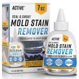 Active Seal & Grout Mold Stain Remover 7oz