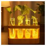 Plant Propagation Wooden Stand, unique gift for mom, women, and any plant or gardening lover, 9-Level Dimmable LED Light, 4 Glass Test Tubes Vase for Hydroponic Plants, Desktop, Home decor. - Retail: 