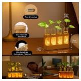 Plant Propagation Wooden Stand, unique gift for mom, women, and any plant or gardening lover, 9-Level Dimmable LED Light, 4 Glass Test Tubes Vase for Hydroponic Plants, Desktop, Home decor. - Retail: 