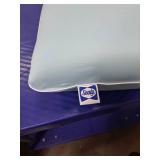 Sealy Essentials Cool-Touch Molded Memory Foam Pillow - Standard Size for Adults 24in x 16in x 5.75in
