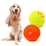 Tennis Ball Dog Toys 2 Pack