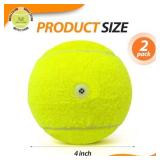 Tennis Ball Dog Toys 2 Pack