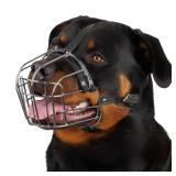 BRONZEDOG Dog Muzzle Adjustable Durable Metal Wire Basket for Large and Extra Large Dogs with Leather Straps Breathable, Drinkable, Training, Prevents Biting (Stainless Steel, Rottweiler)