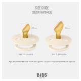 BIBS Pacifiers 6-18 Months | Colour Collection 2-Pack | BPA-Free Anatomical Natural Rubber Nipple | Made in Denmark | Violet Sky/Mauve Color Pacifier - Retail: $16