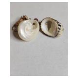 Handmade Shell and Bead Earring Set