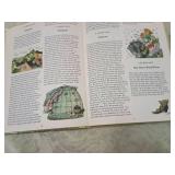 Children's Book Bundle - Mo Willems Collection Children's Book Bundle - Mo Willems Collection