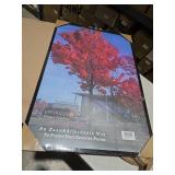 Medog Studio Gallery 24x36 Poster Frame Black,Display Pictures 24x36 Picture Frame, Studio Gallery Frame, Wall Schools Colleges Sign Frame, 1 Pack