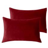 StangH Christmas Pillowcase for Decor, Velvet Pillow Covers with Zipper Closure, Soft Cozy Feeling for Sleeping, Queen Size (Red, 20 x 30 inches) Pillow Cases Set of 2