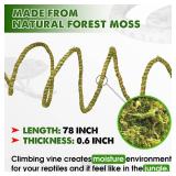 Duspro 6.5FT Reptile Vine & Moss Set for Climbing Bendable Branch, Natural Moss Rope Jungle Decor for Bearded Dragon, Chameleon Tank Accessories, Snake Gecko Lizard Terrarium