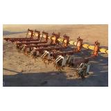 Lilliston 7 Unit Rolling Cultivator