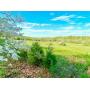 Absolute Auction - 12+Acres in 11 Parcels at Rough River Lake