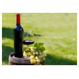 Premier Winery Destination and Retreat in Tennessee
