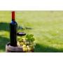 Premier Winery Destination and Retreat in Tennessee