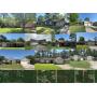 Online Auctions 11 Single Family Homes and 4 Undeveloped Lots